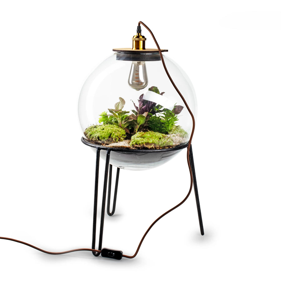 Demeter Botanical Incl. Standaard - Terrarium Met Lamp - 60Cm